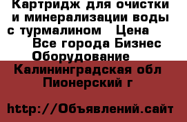 Картридж для очистки и минерализации воды с турмалином › Цена ­ 1 000 - Все города Бизнес » Оборудование   . Калининградская обл.,Пионерский г.